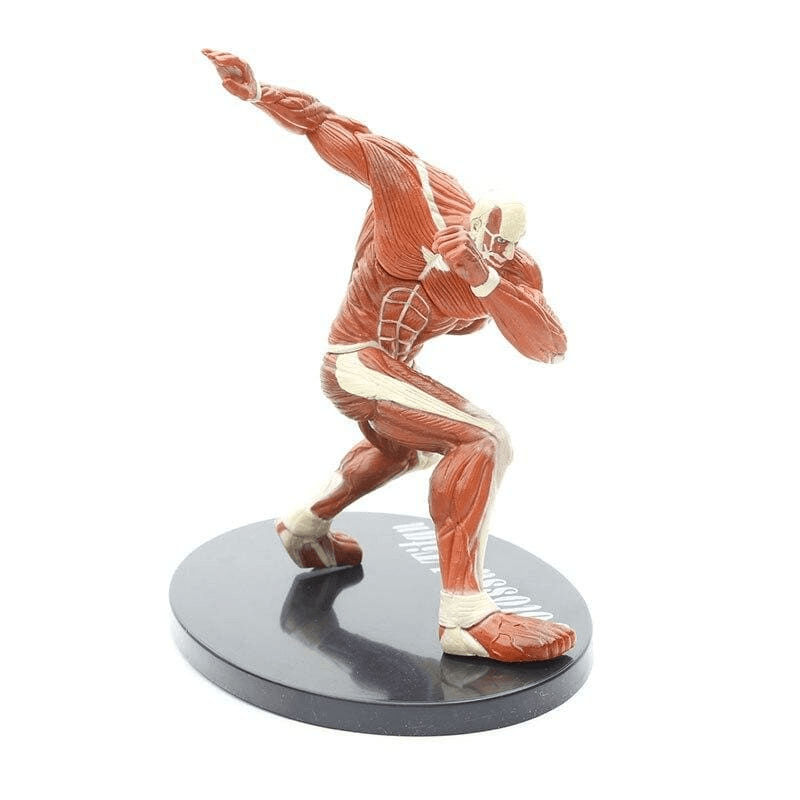 Colossal Titan Figure - Attack on Titans™
