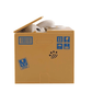 Cat™ Money Box