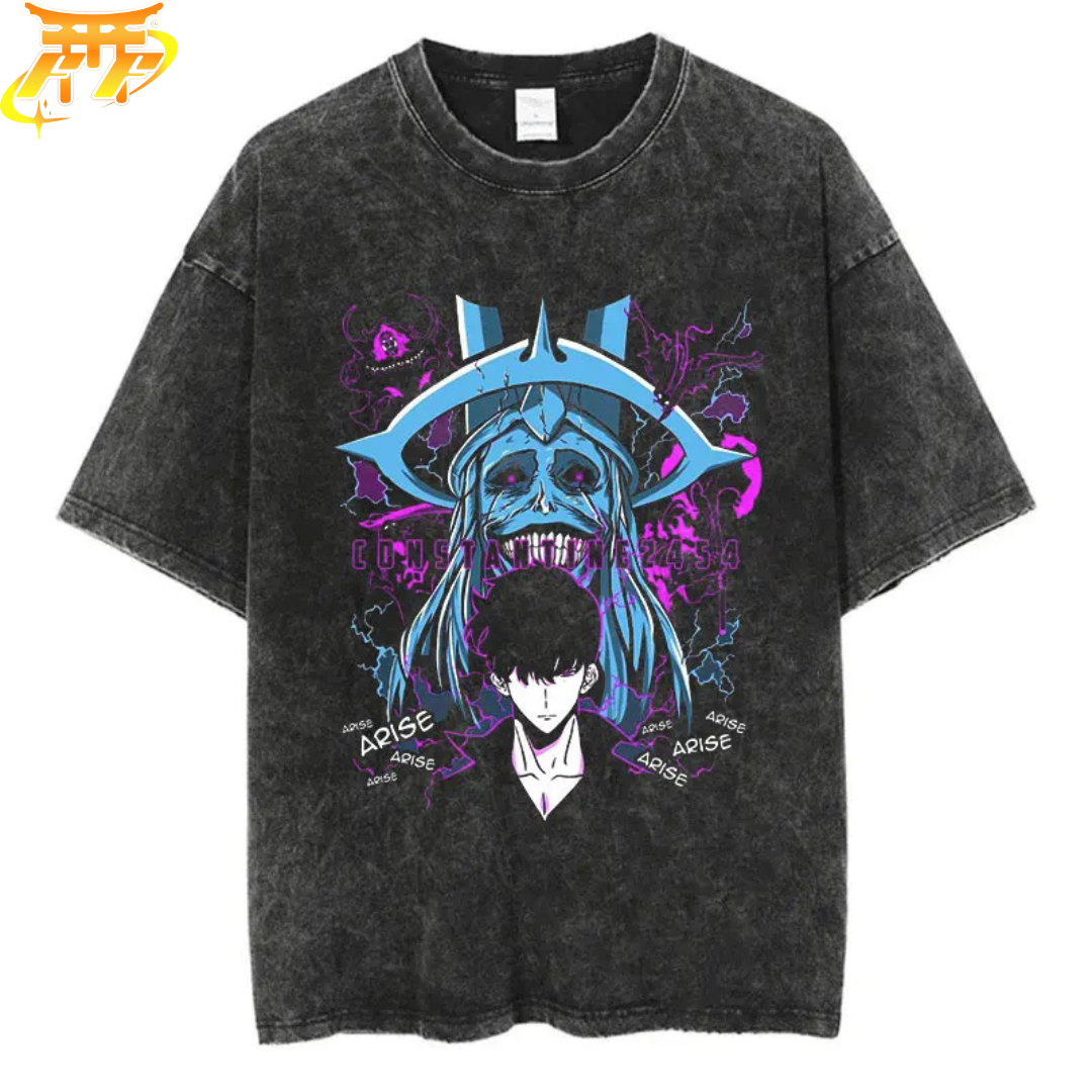 Sung x The Architect T-Shirt - Solo Leveling™