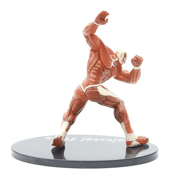 Colossal Titan Figure - Attack on Titans™