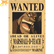 Poster Wanted Blackbeard - One Piece™