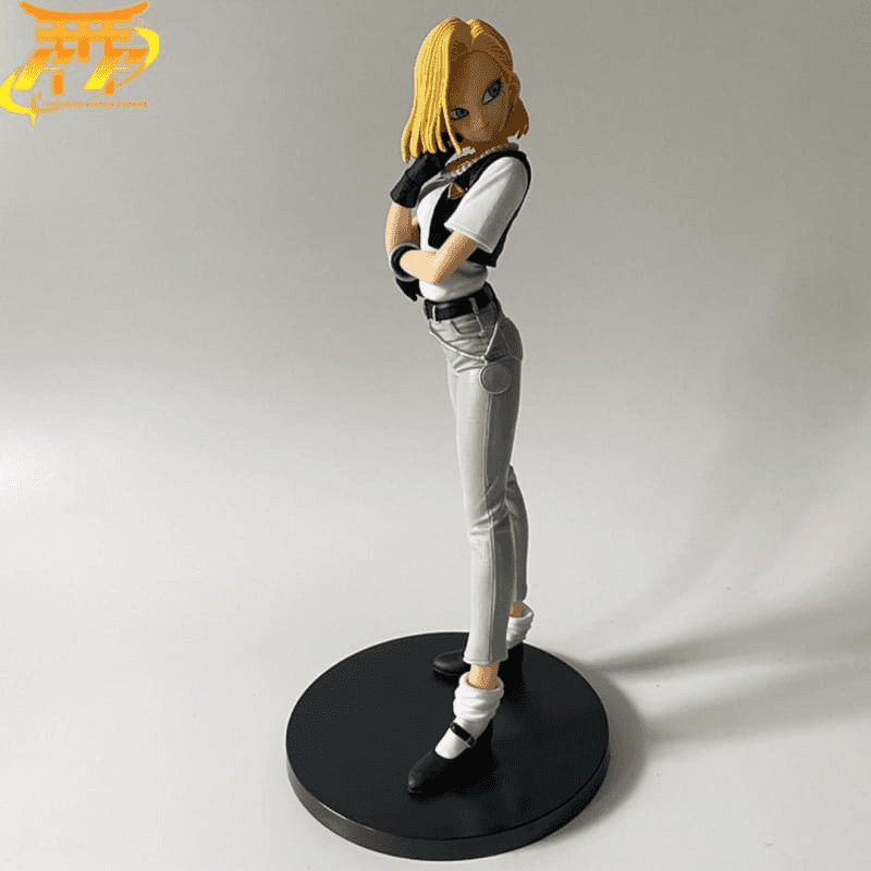 Figure C18 - Dragon Ball Z™