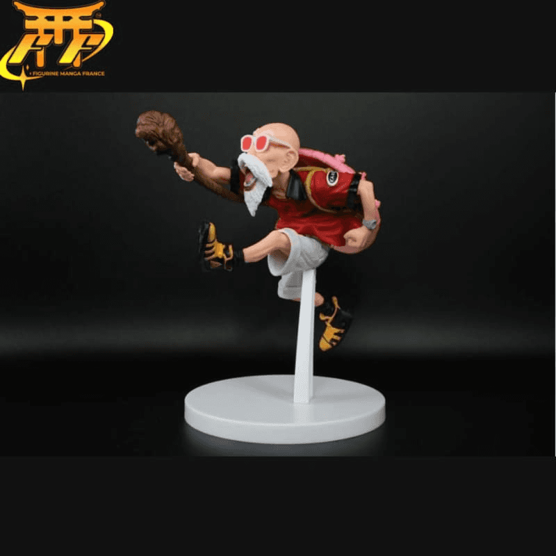 Figure Kame Sennin - Dragon Ball Z™