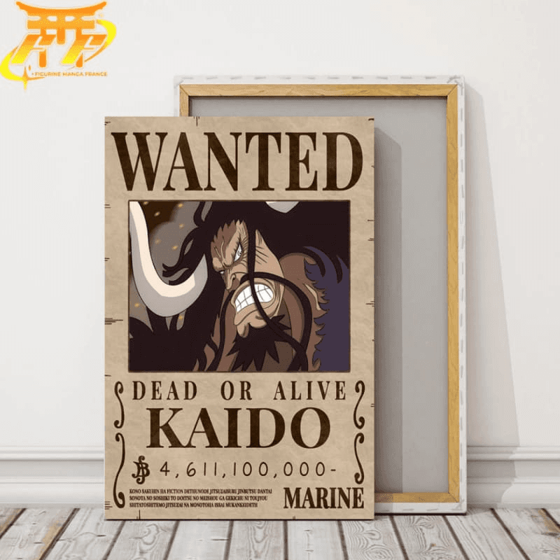 Poster Wanted Kaido - One Piece™